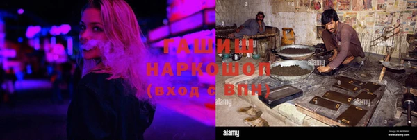ешки Алексин