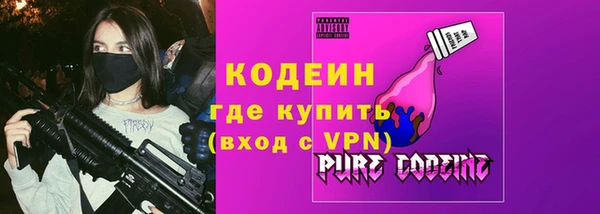 МДПВ Вяземский