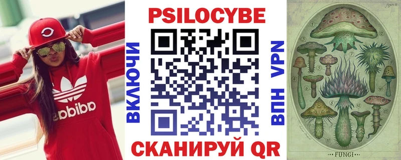 где продают   MEGA зеркало  Псилоцибиновые грибы Psilocybe  Пустошка 